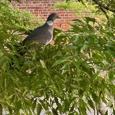 Industriel Chic * Beauvais